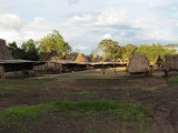 IMG_0284