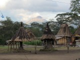 IMG_0289