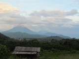 IMG_0291