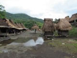 IMG_0300