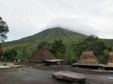 IMG_0308