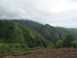IMG_0336