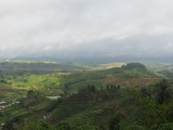 IMG_0346
