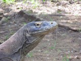 IMG_0391