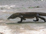 IMG_0395