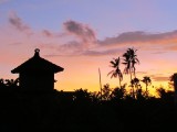 IMG_0443