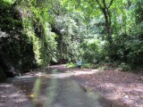 IMG_0500