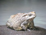 IMG_0501