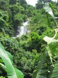 IMG_0515