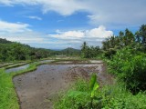 IMG_0517