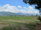 IMG_0520