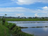 IMG_0524