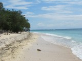 IMG_0591