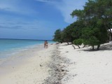IMG_0590