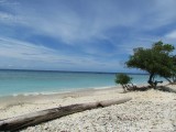 IMG_0596