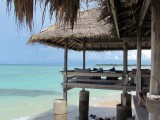 IMG_0601