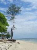 IMG_0005