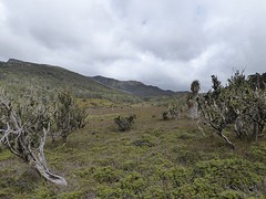 Cradle Mountain National Park