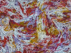 Aboriginal Art Tasmanie