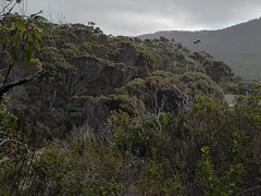 Tasman Island Tasmanie