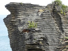 Punakaiki 2