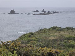 Cape Foulwind