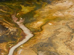 Orakei Korako 2