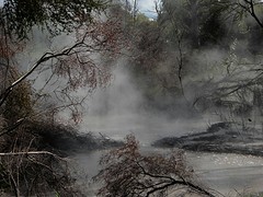 Rotorua stadspark 1