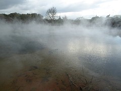 Rotorua stadspark 2