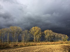 Landschap bij Sint-Laureins