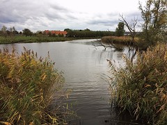 Kreek bij Sint-Laureins