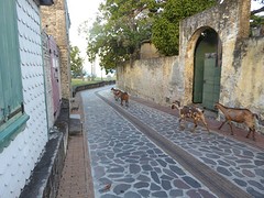 oranjestad 3