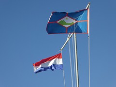 vlaggen