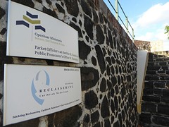 nederlandse instituties