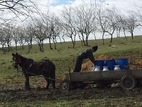 platteland bij Timisoara