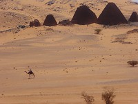P1140584