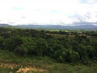 landschap oost Jamaica
