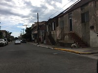 kingston 4
