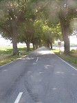 weg 208 bij Mustin