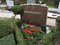 IMG-2693
