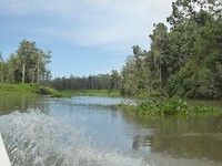 IMG_4075