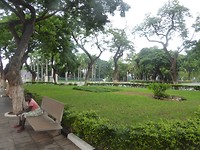 P1180223