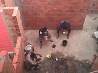 IMG_4035