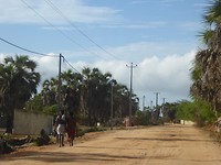 P1180243
