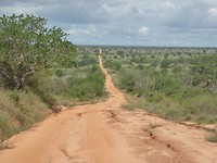 P1180333
