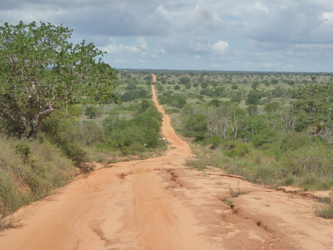 P1180333