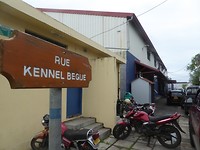 rue kennel begue