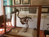 IMG_4572