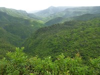 P1180794