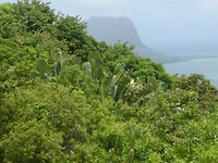 P1180829